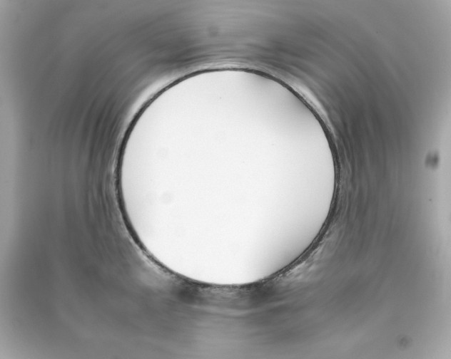 X0000090411197200708101912