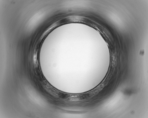 X0000090411198200708101912