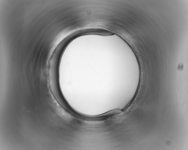 X0000090411200200708101912