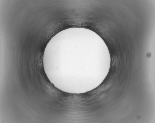 X0000090411202200708101912