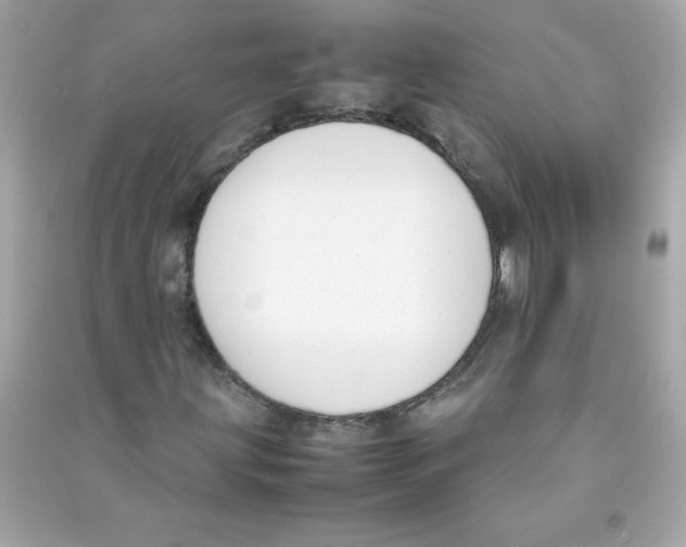 X0000090411203200708101912