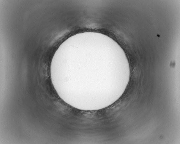 X0000090411205200708101912