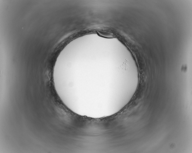 X0000090411206200708101912