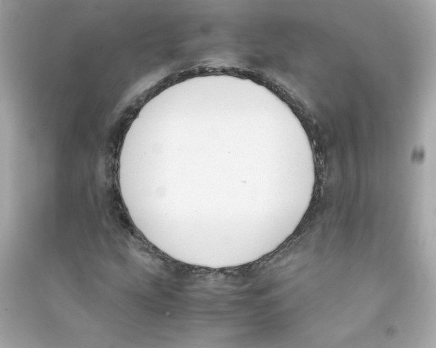 X0000090411207200708101912