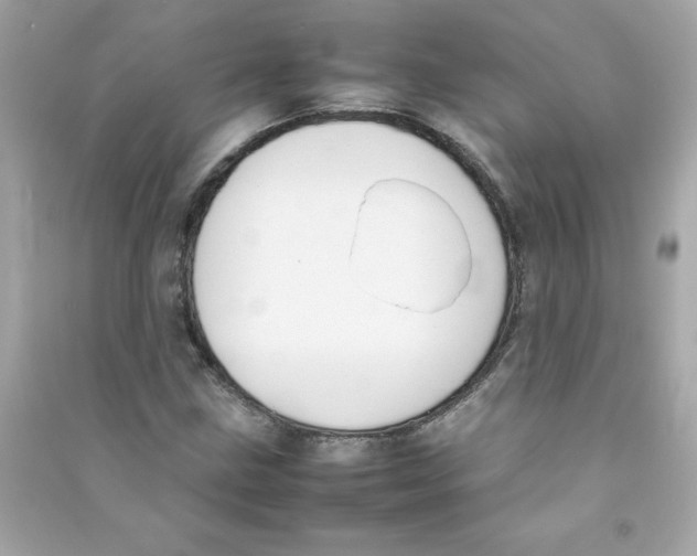 X0000090411211200708101912