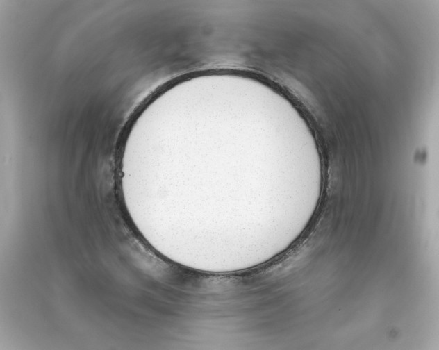 X0000090411212200708101912
