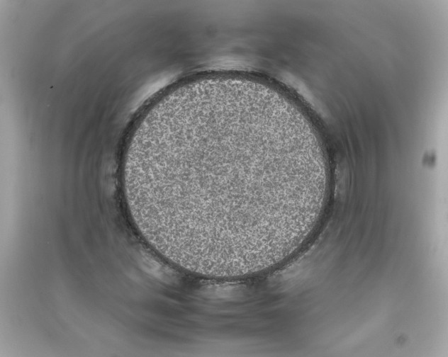 X0000090411213200708101912