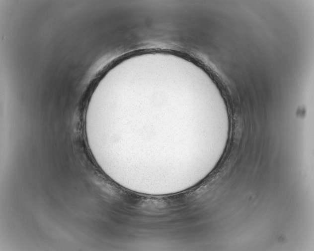 X0000090411215200708101912