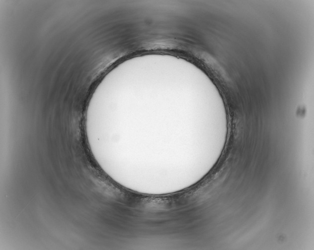 X0000090411217200708101912