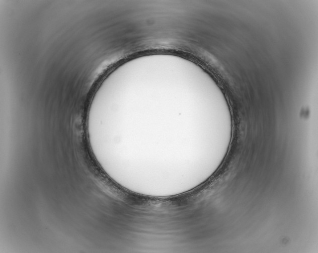 X0000090411218200708101912