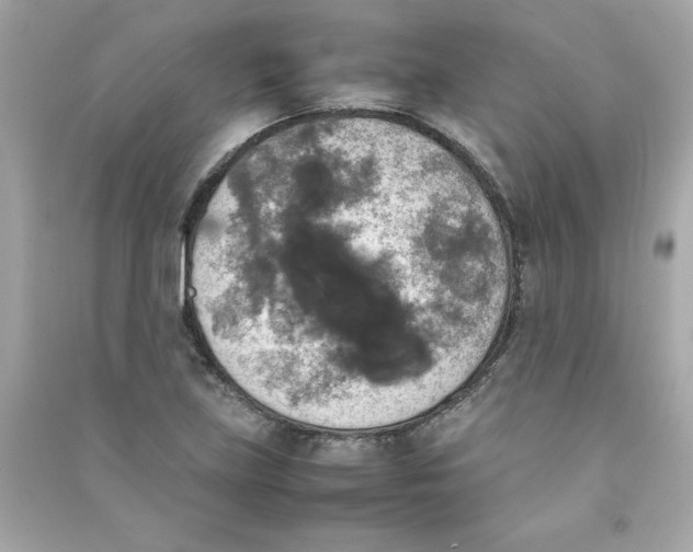 X0000090411219200708101912