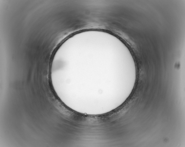 X0000090411220200708101912