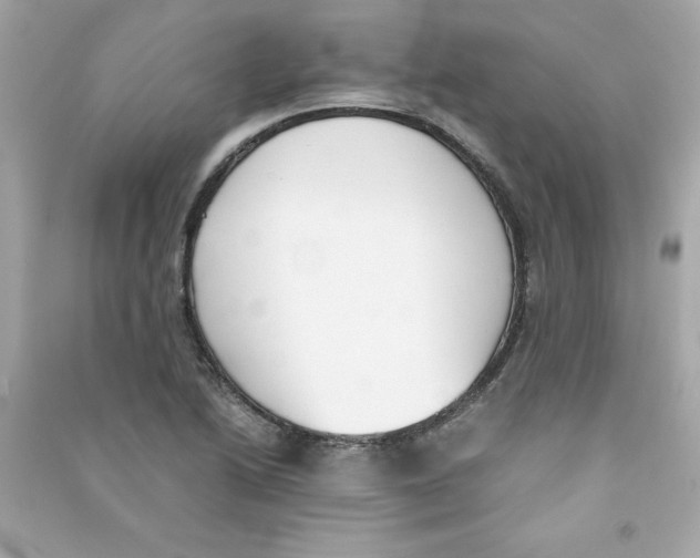 X0000090411222200708101912