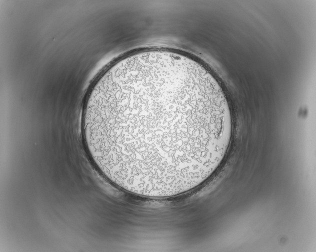 X0000090411224200708101912