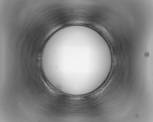 X0000090411225200708101912