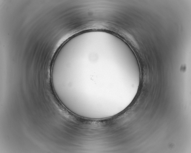 X0000090411226200708101912