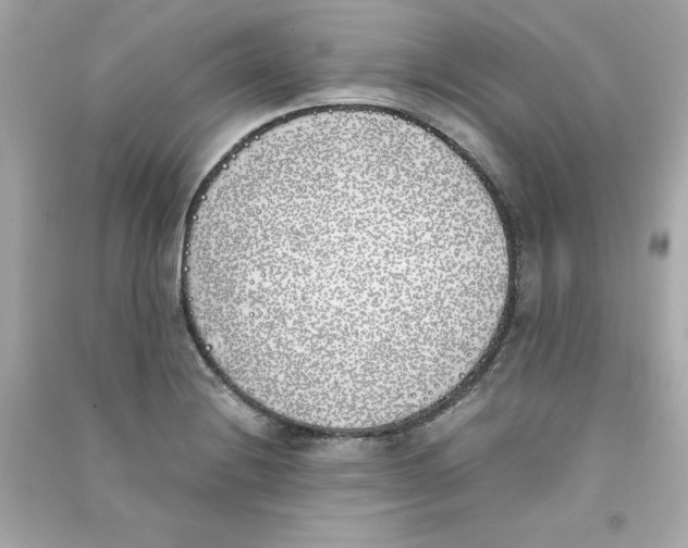 X0000090411228200708101912