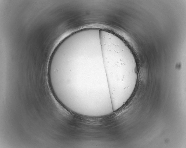X0000090411229200708101912