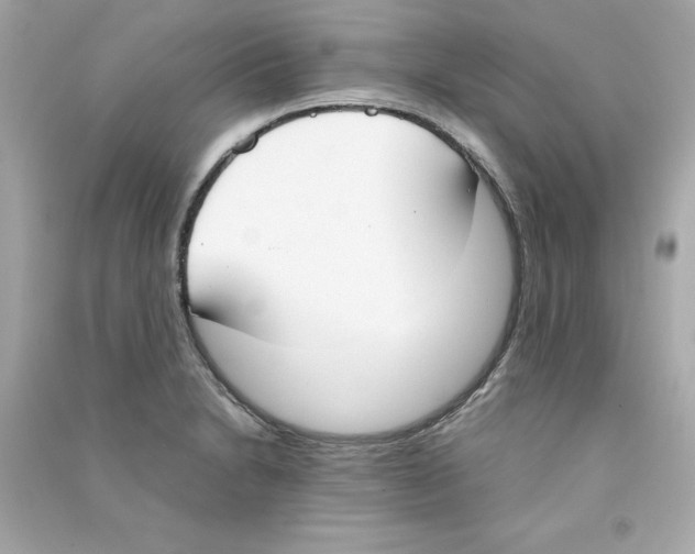 X0000090411230200708101912