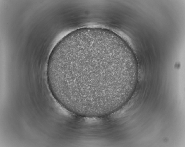 X0000090411231200708101912