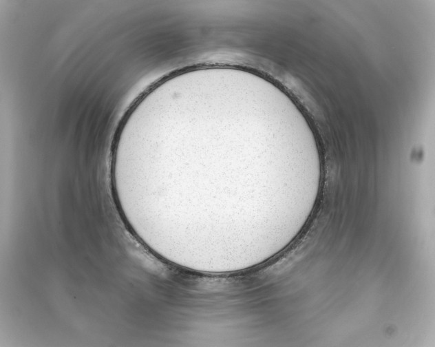 X0000090411232200708101912