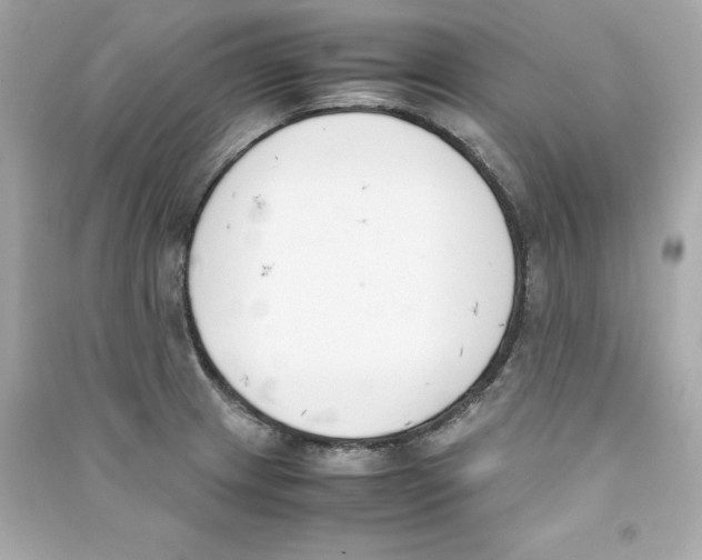 X0000090411233200708101912