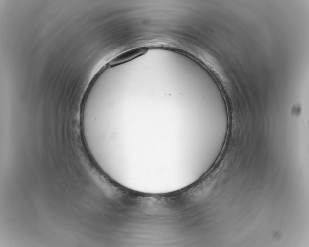 X0000090411234200708101912