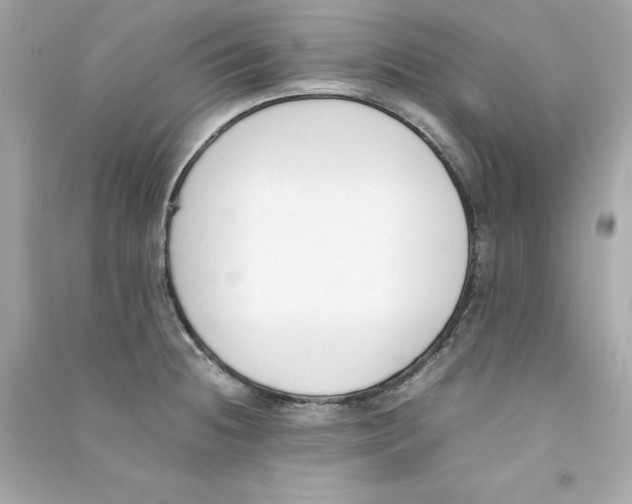 X0000090411236200708101912