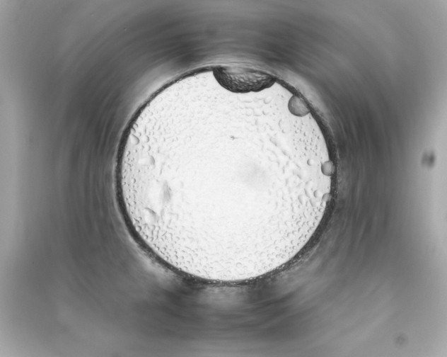 X0000090411237200708101912