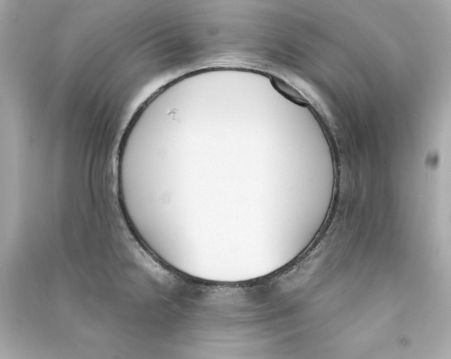 X0000090411238200708101912