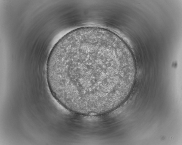 X0000090411239200708101912