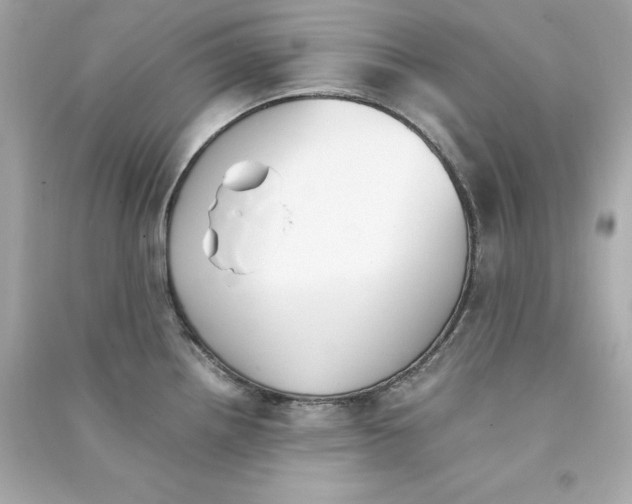 X0000090411242200708101912