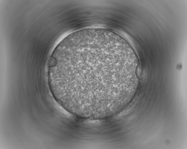 X0000090411243200708101912
