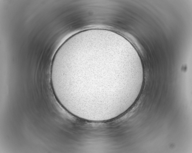X0000090411244200708101912