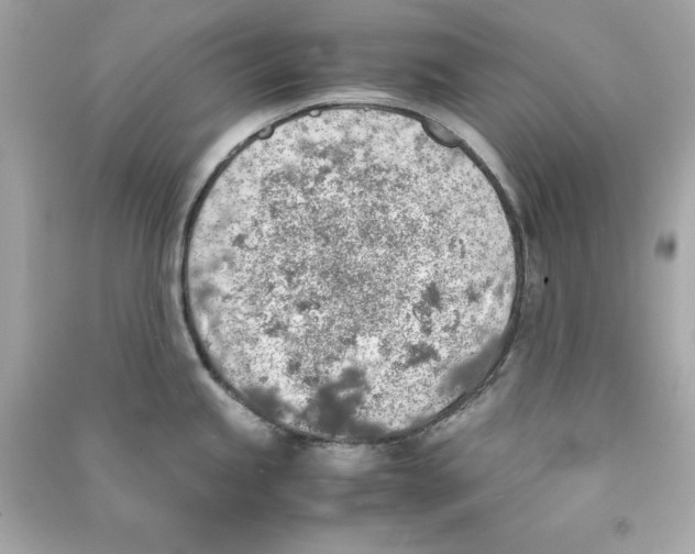 X0000090411245200708101912
