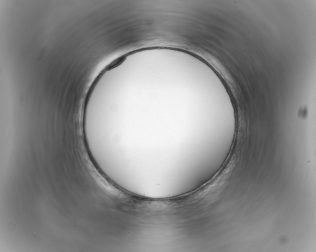 X0000090411246200708101912