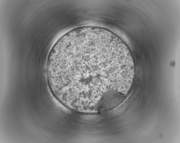 X0000090411247200708101912