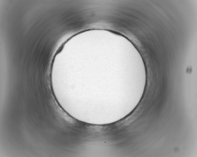 X0000090411248200708101912