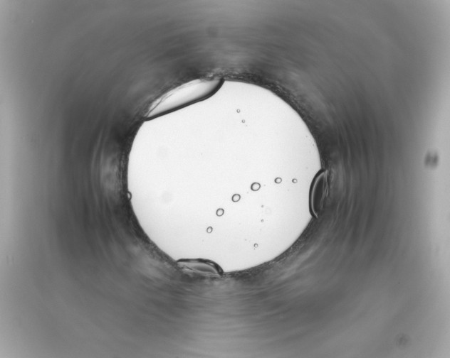 X0000090411250200708101912