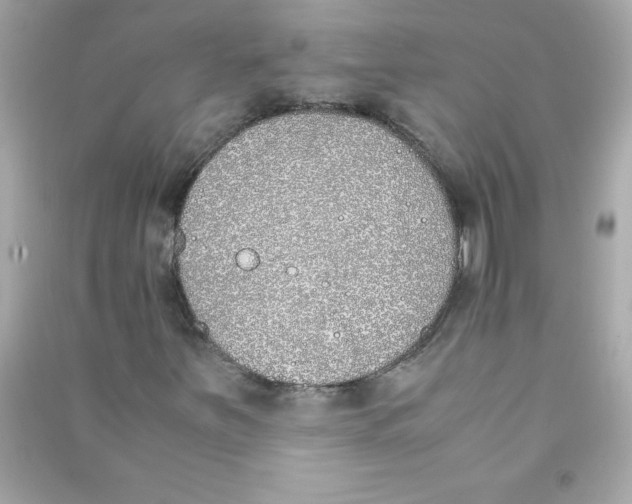 X0000090411251200708101912