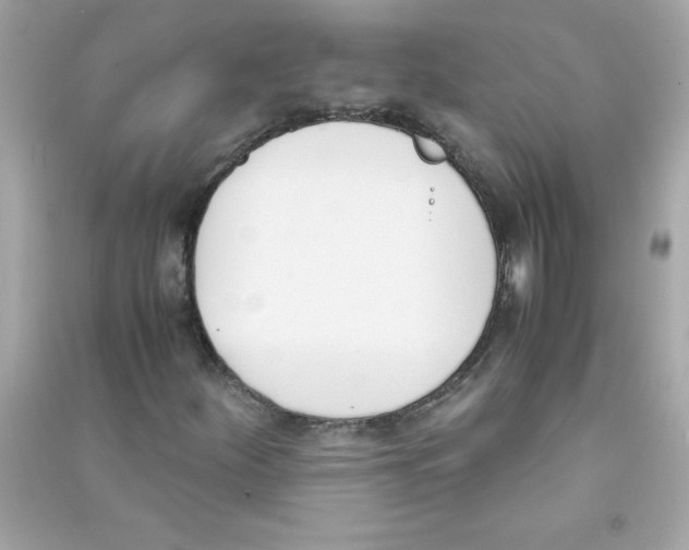 X0000090411252200708101912