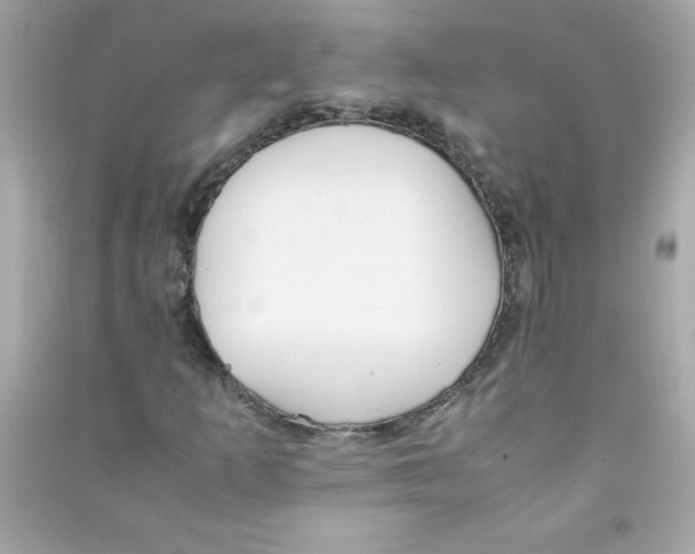X0000090411253200708101912