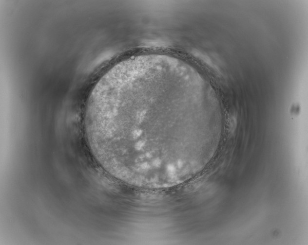X0000090411254200708101912