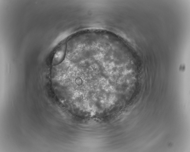 X0000090411255200708101912