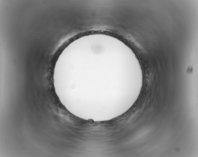 X0000090411256200708101912
