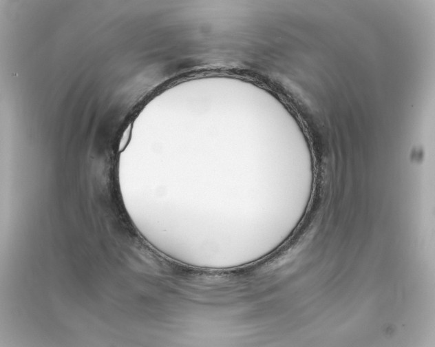 X0000090411257200708101912