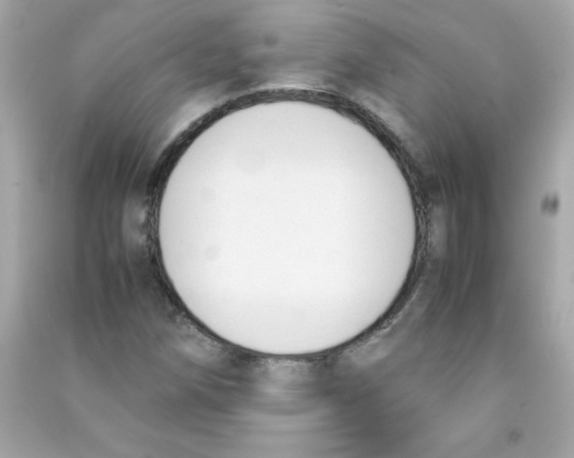 X0000090411258200708101912