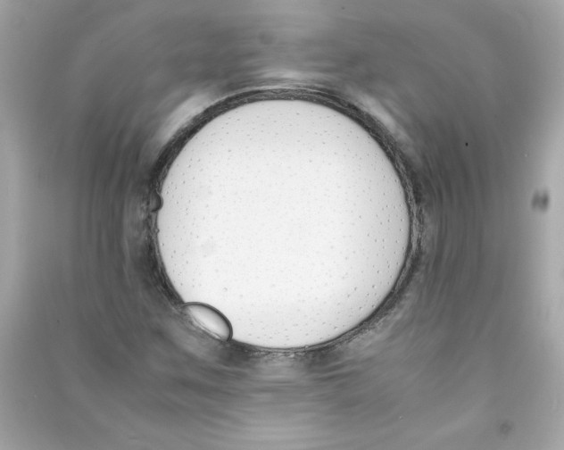 X0000090411259200708101912