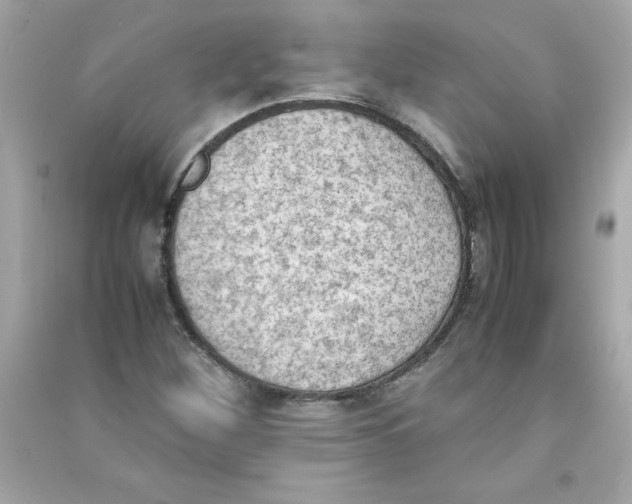 X0000090411260200708101912