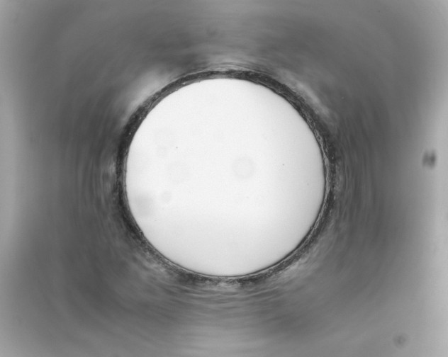 X0000090411261200708101912
